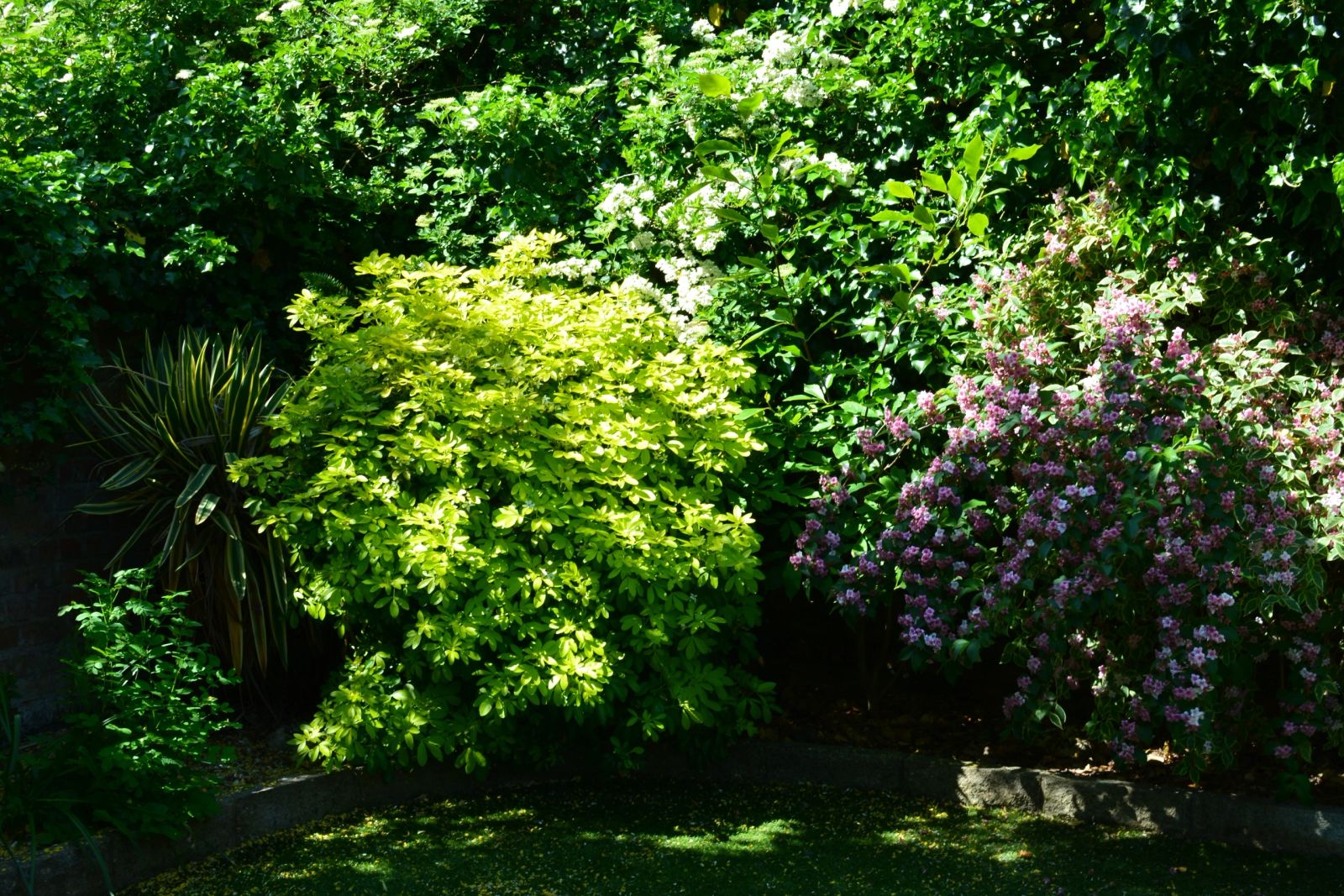Prenton Brook House interior view