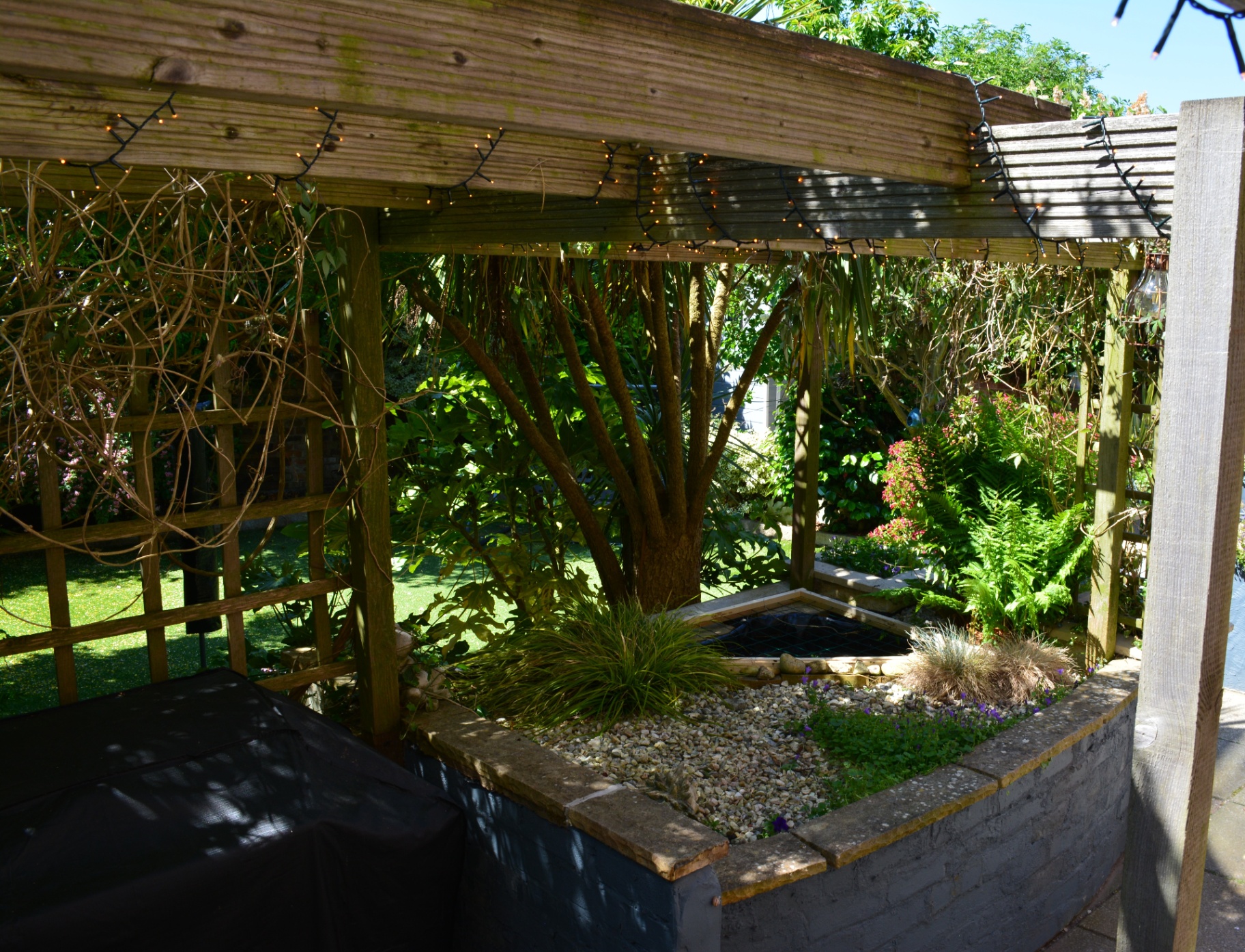 Garden pergola and pond area